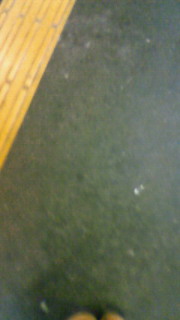 ���ނ��˂ނ�