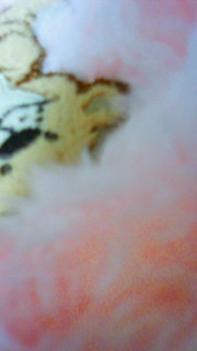 �ӂ�[������