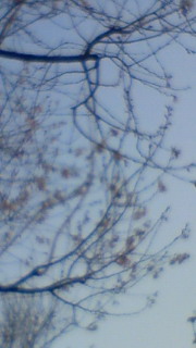 �����΂�