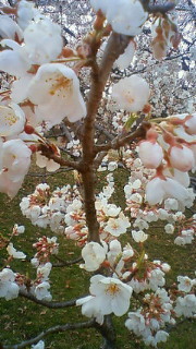 ���񂪂���