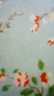 �����ǂ���