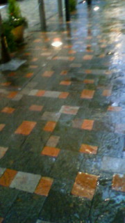 ���イ���[��