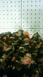 �����΂��[��