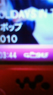 �ق�ł����񂴂���