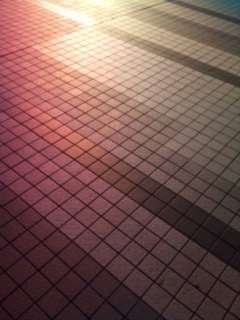 ���܂̂��Ⴍ