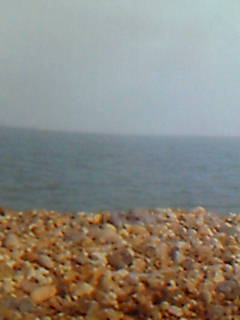 �ނ���[!!!!!