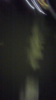 ����ɂ��[