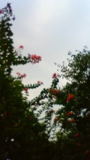 ������ς�