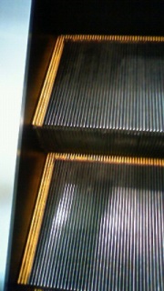 �߂Ƃ�ۂ肽��