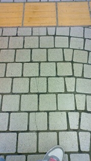 ���񂵂傤���イ