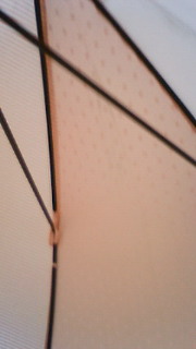 �Ȃɂ��[�����[���[